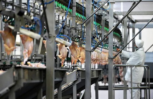 萬華助力泰森食品 以專業設計，筑就世界級肉類加工新標桿